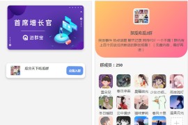 WordPress开发进群V2主题，多种引流方法，引私域二次变现