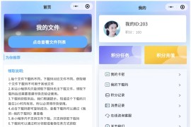 ERMEB云盘发卡小程序系统源码