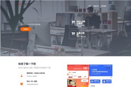 HTML源码 小程序接单单页源码