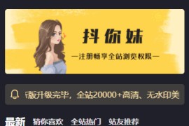 最新抖你妹原版主题源码仿抖音模式套图SEO源码_WordPress图片主题