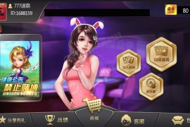 大亨十三水+浙友十三水完美运营版 俱乐部+积分模式+买马模式+带胜率控制